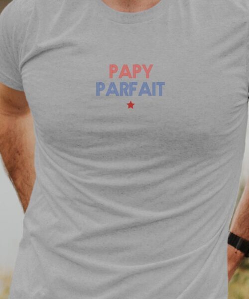 T-Shirt Gris Papy parfait Pour homme-1