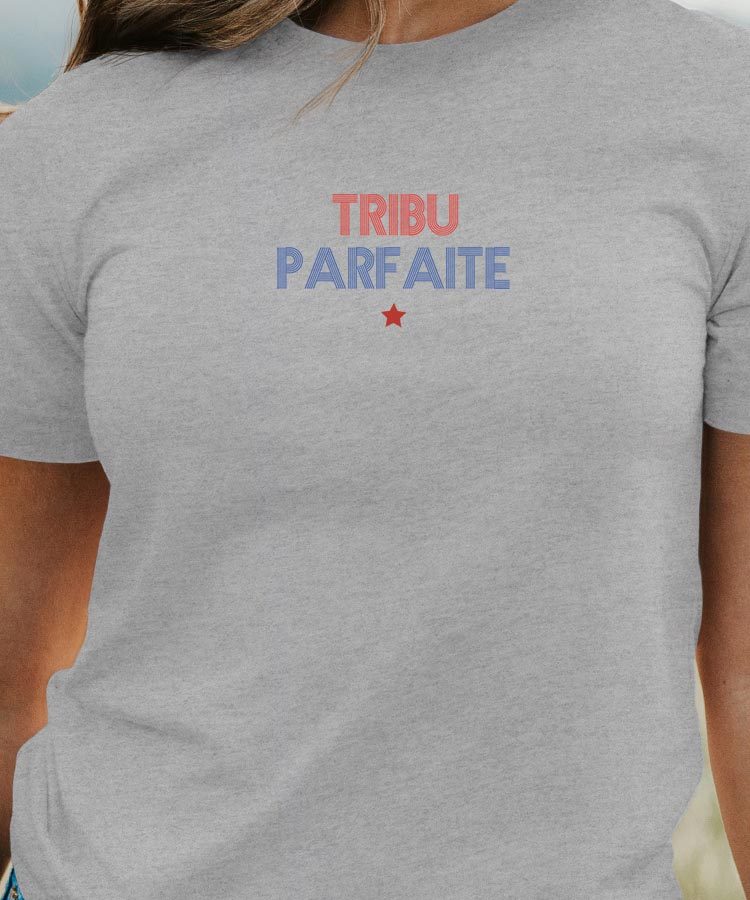 T-Shirt Gris Tribu parfaite Pour femme-1