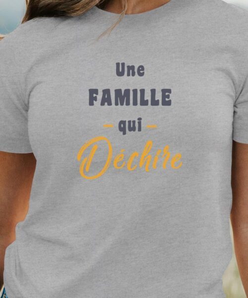 T-Shirt Gris Une Famille Qui déchire Pour femme-1
